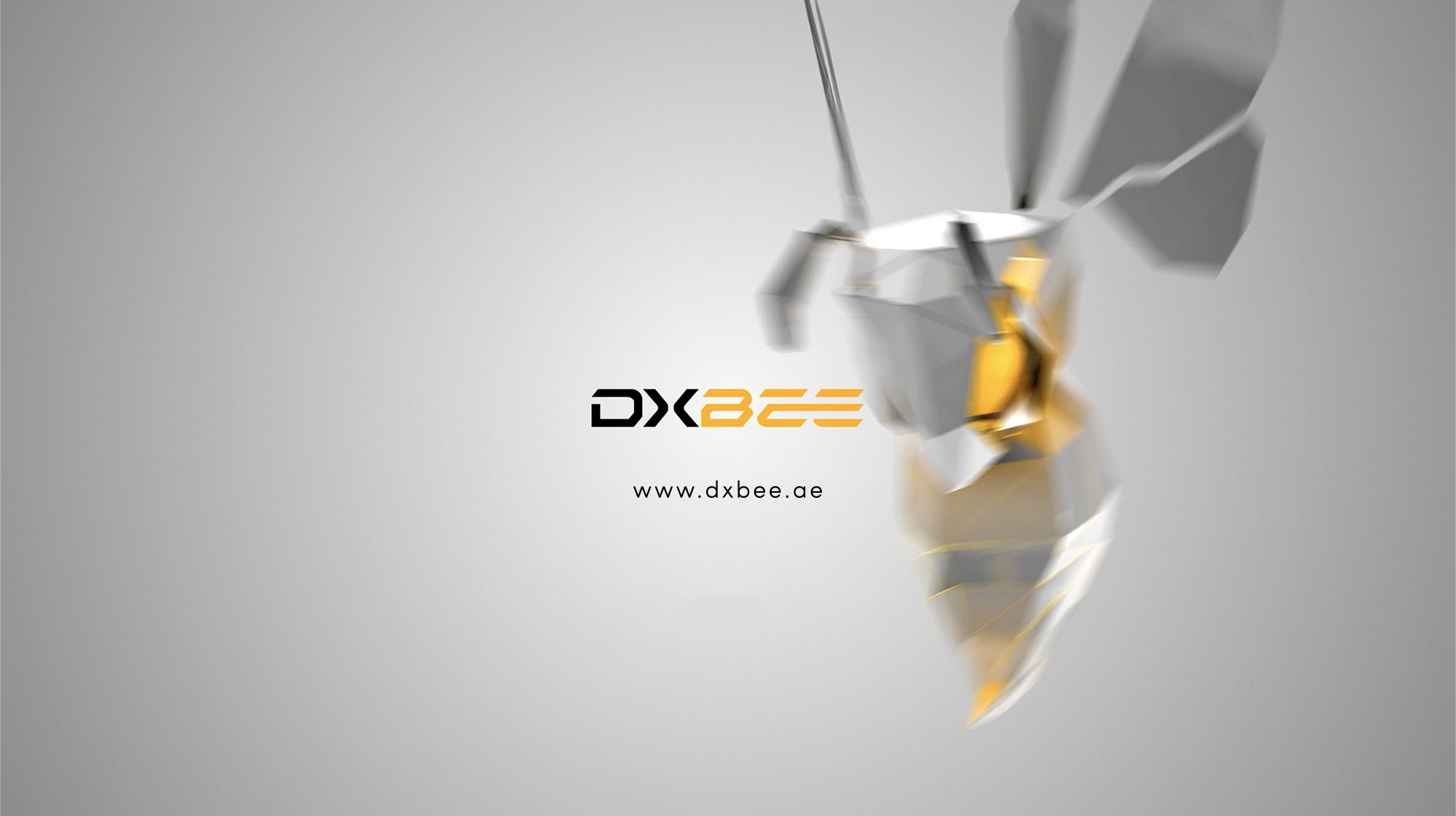 DXBee Media branding